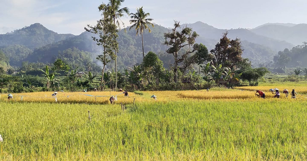 Gambar sampul Satu Data Indonesia Itu Berat