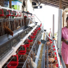 Ketika Suami Pergi, Dunia Tidak Ikut Berbelas Kasih